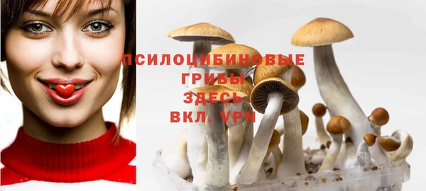 jwh Зеленодольск