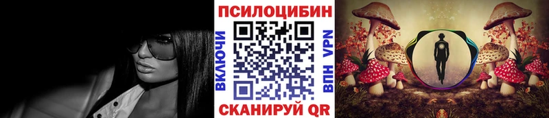 Псилоцибиновые грибы мицелий  Купить где  Грязи 